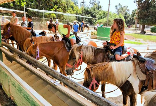Happy children sitting on ponies at Griffith Park Pony Rides.